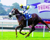 Click to send an enquiry for Phumelela