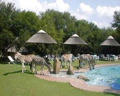 Click to send an enquiry for Heia Safari