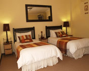 Click to send an enquiry for Ingwenya 