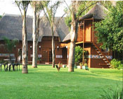 Click to send an enquiry for Usiba