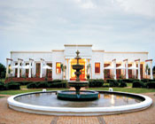 Click to send an enquiry for Kievits Kroon